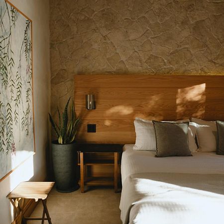 Mya Hotel Valle de Guadalupe Luaran gambar
