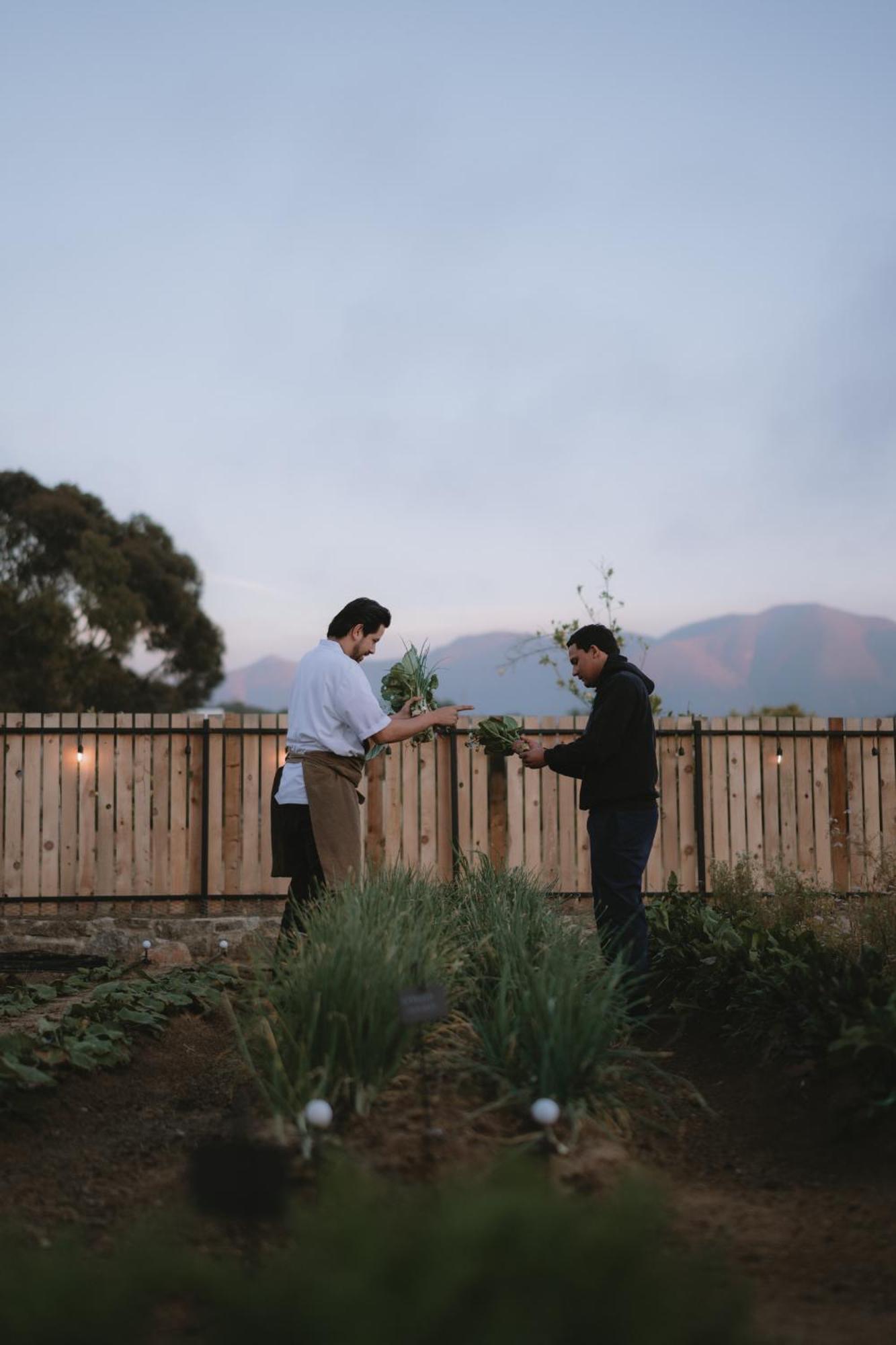 Mya Hotel Valle de Guadalupe Luaran gambar
