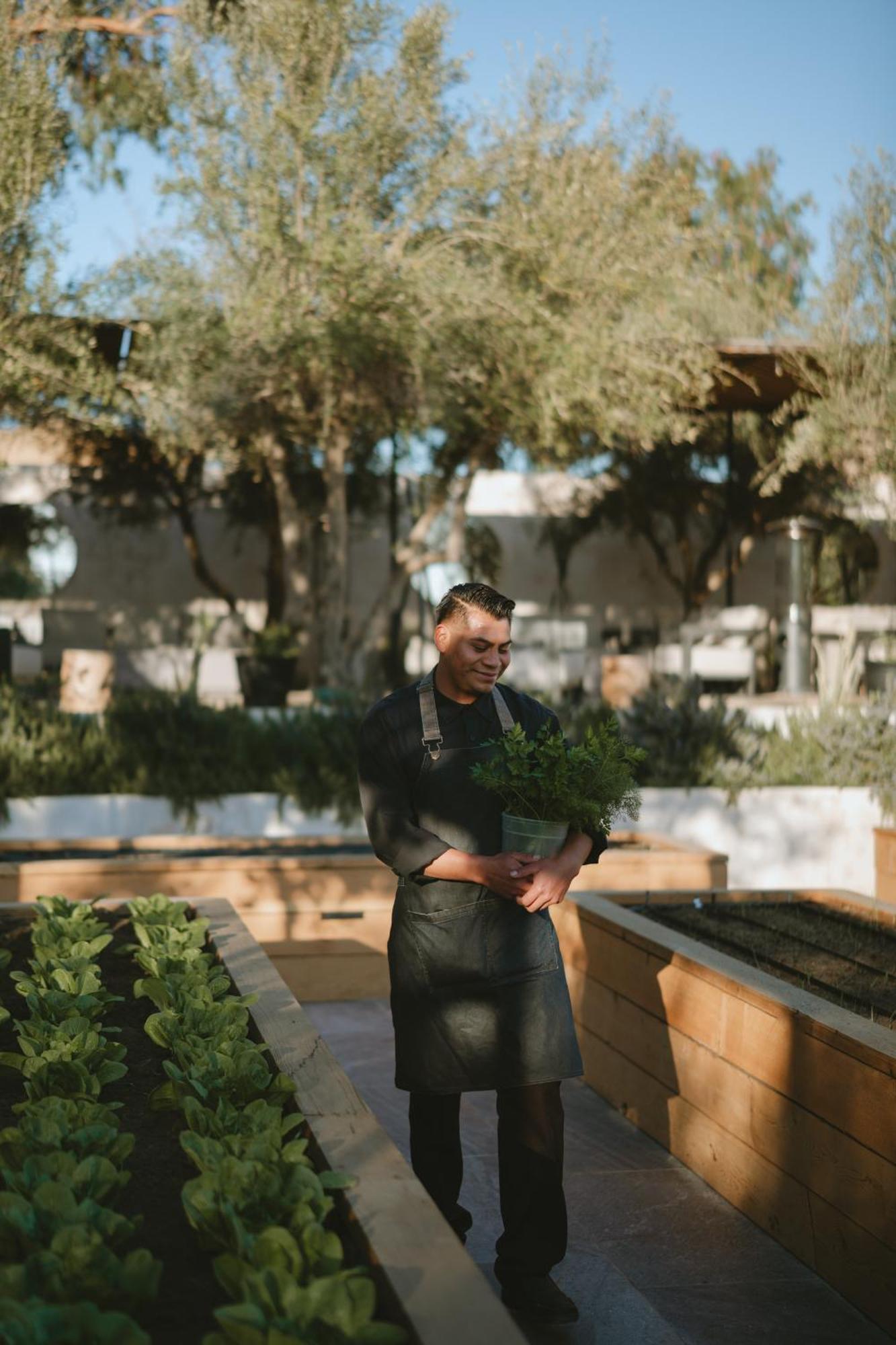 Mya Hotel Valle de Guadalupe Luaran gambar