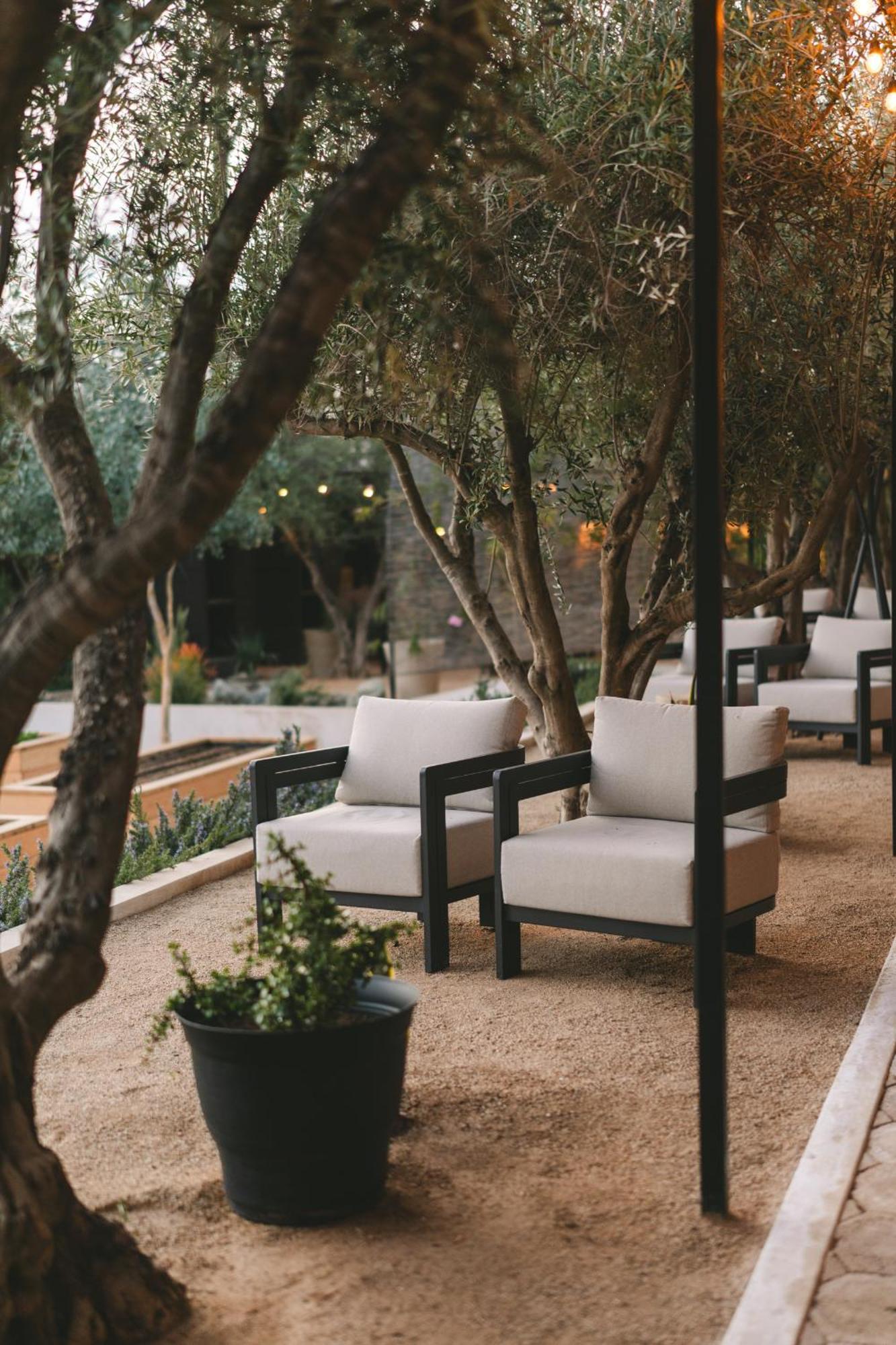 Mya Hotel Valle de Guadalupe Luaran gambar