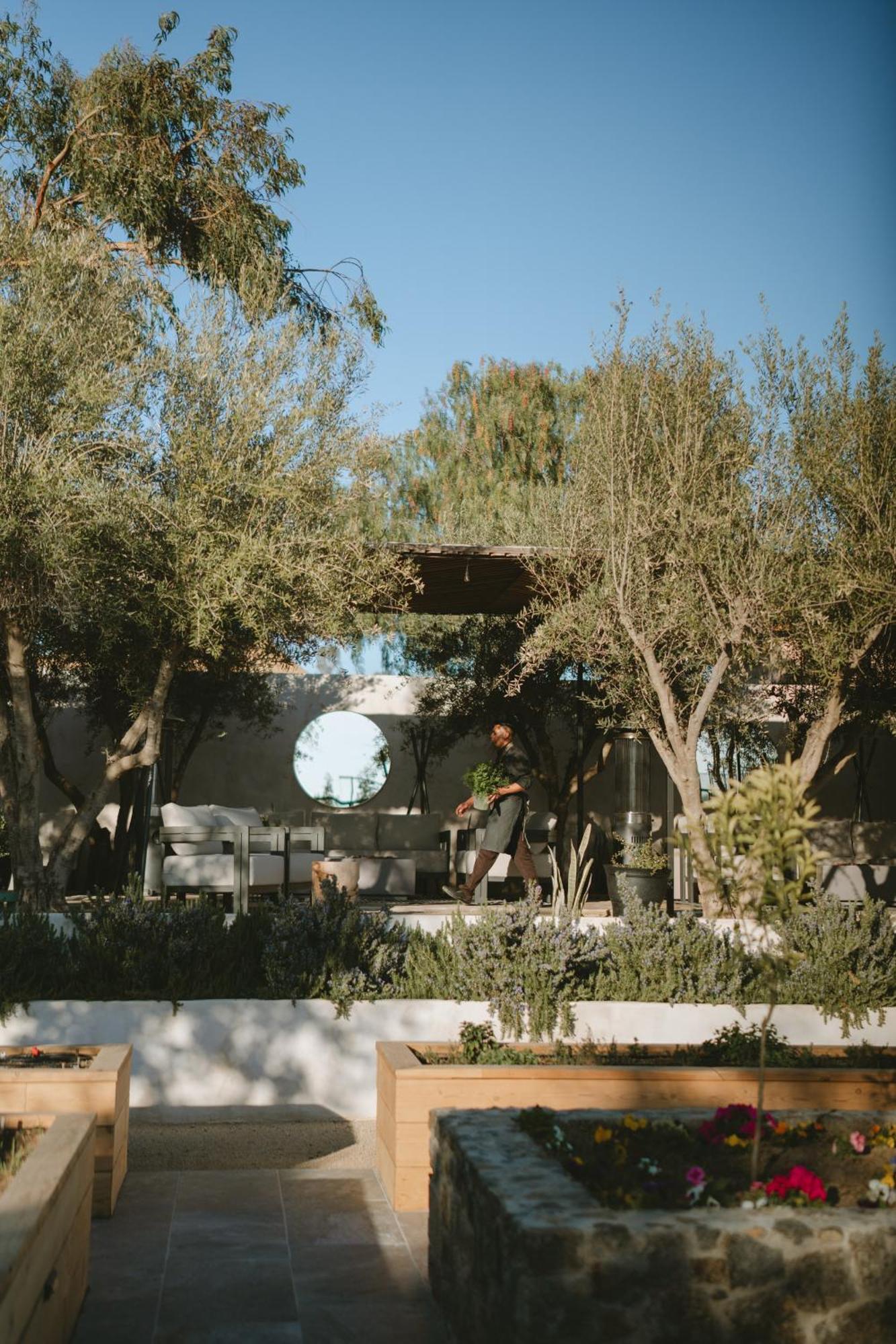 Mya Hotel Valle de Guadalupe Luaran gambar
