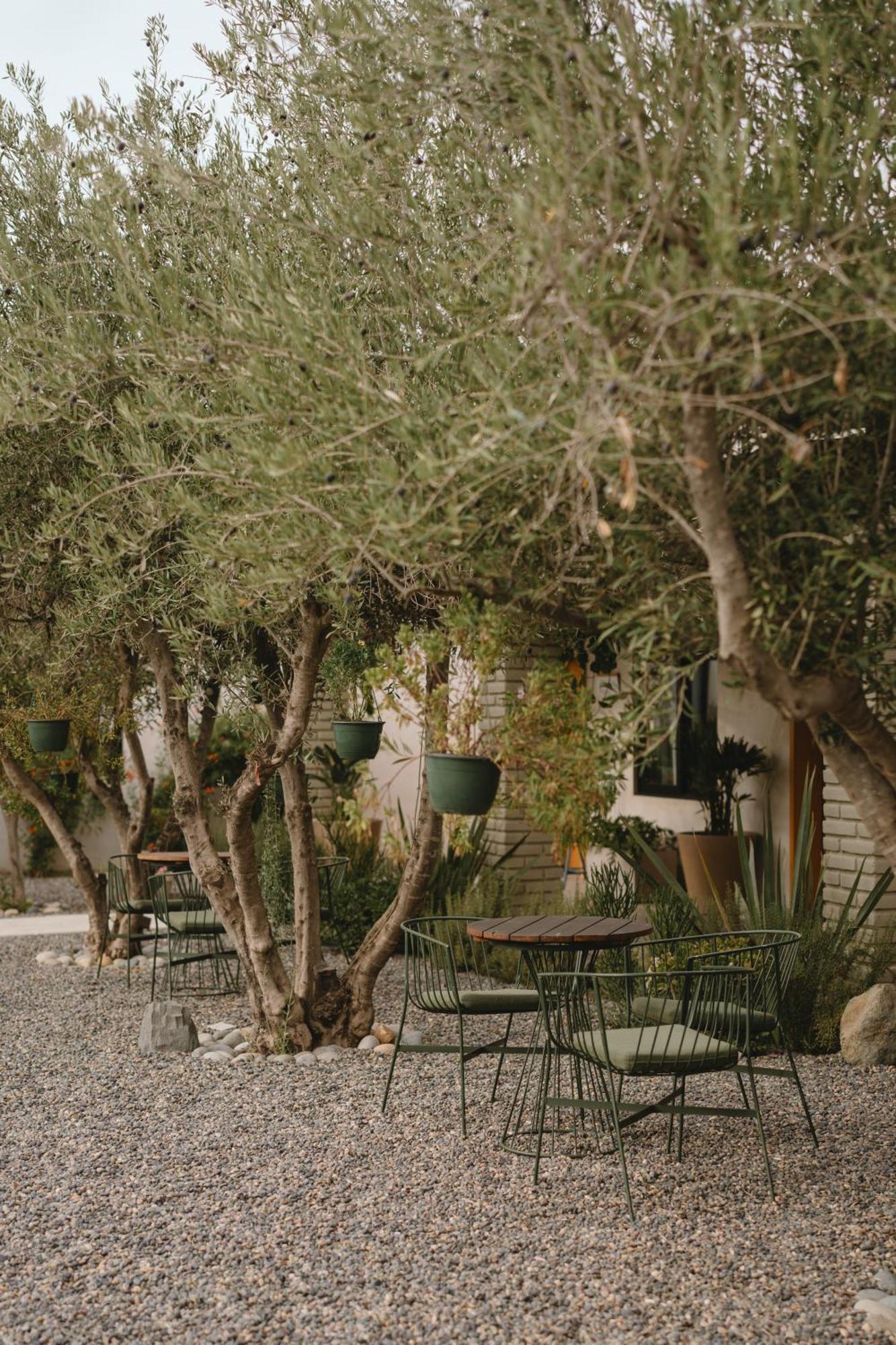Mya Hotel Valle de Guadalupe Luaran gambar
