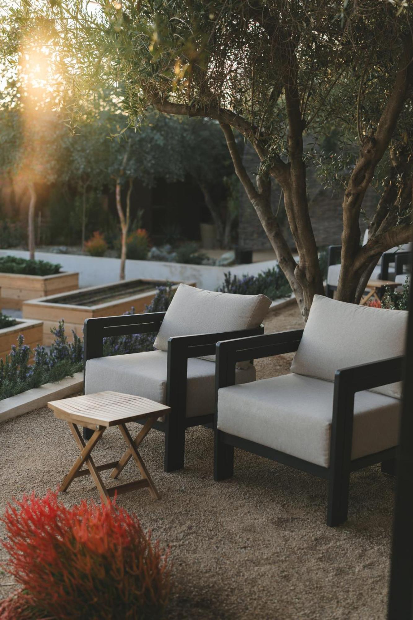 Mya Hotel Valle de Guadalupe Luaran gambar